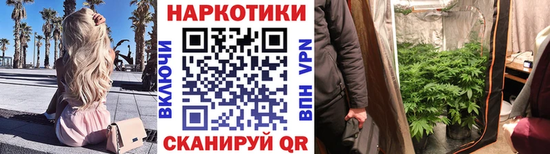 Купить наркотик Сасово Гашиш  ТГК  Альфа ПВП  Меф  COCAIN 