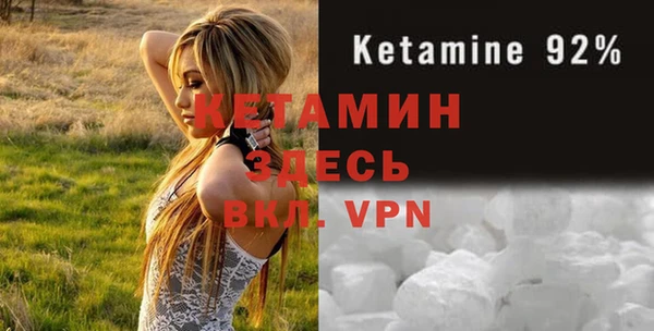 крисы Армянск