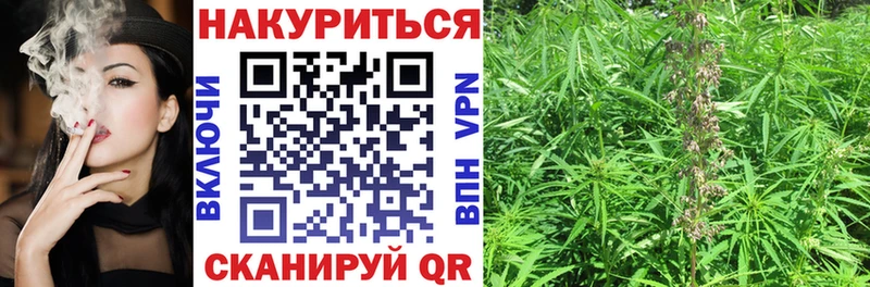 Марихуана сатива  OMG tor  Сасово  цена  